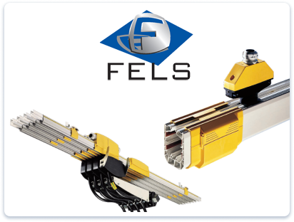 FELS