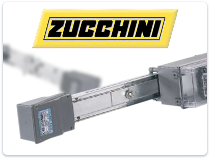 Zucchini